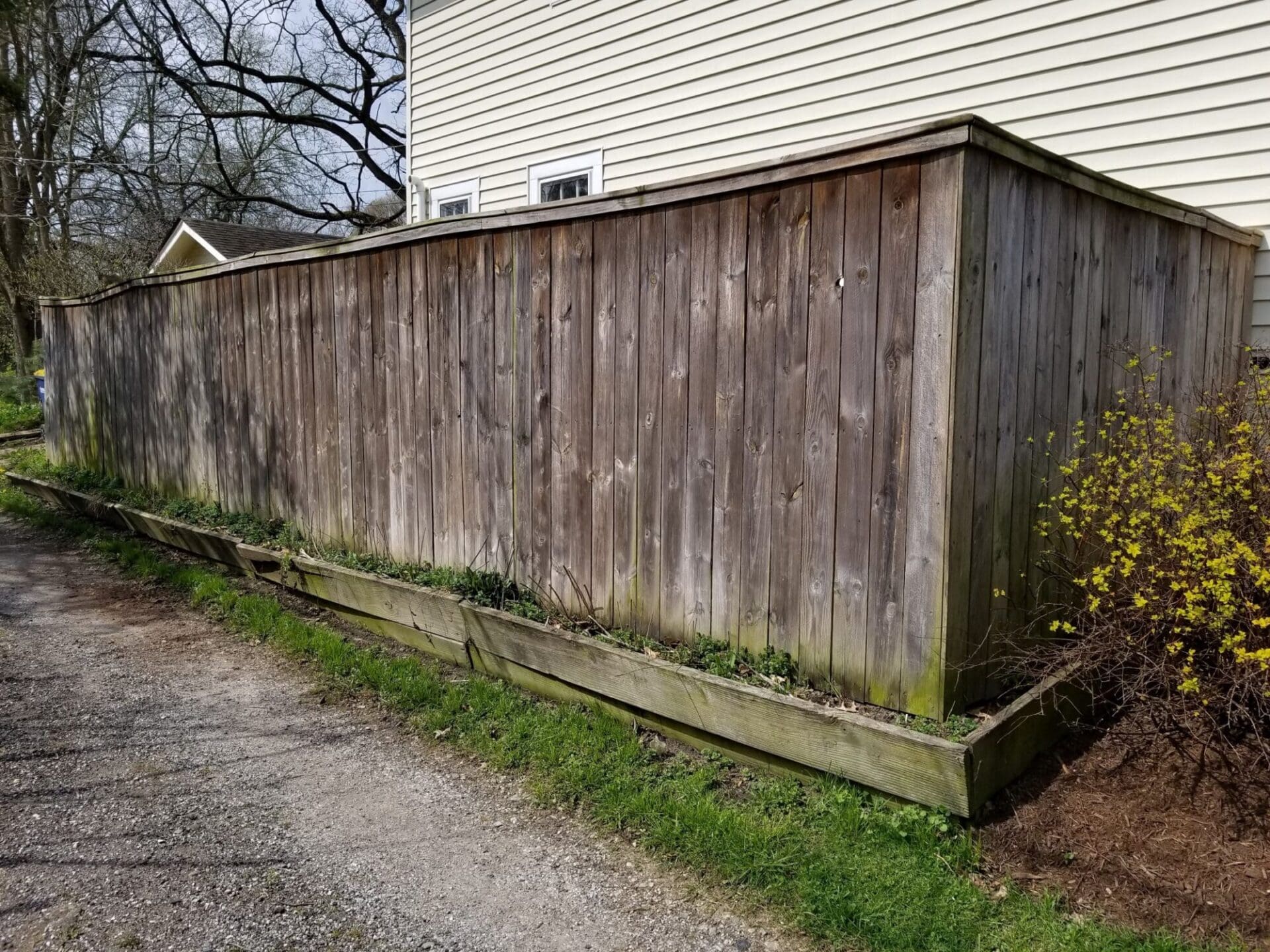 Wood Fence Before